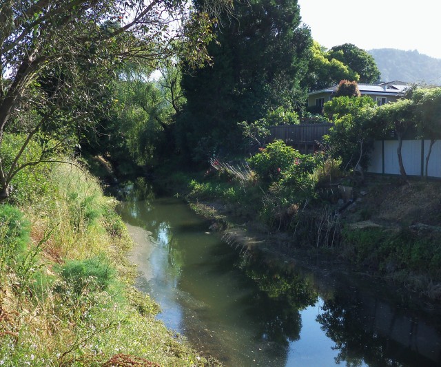 Corte Madera canal